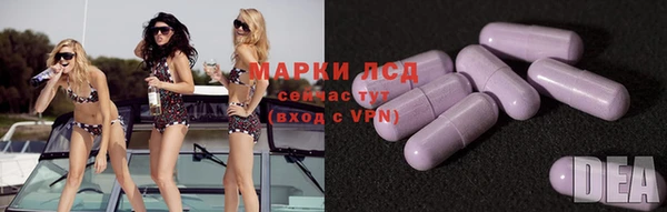 ECSTASY Гусев