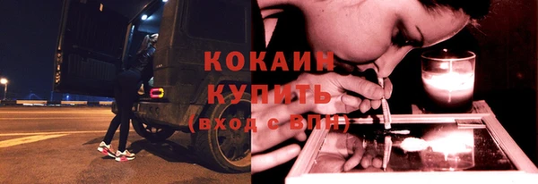 амф Гусь-Хрустальный