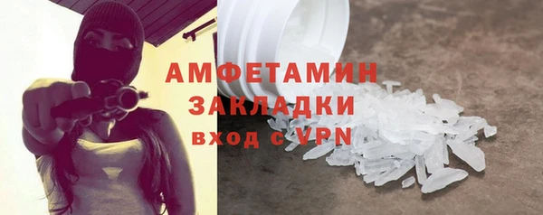 амф Гусь-Хрустальный