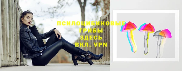 амф Гусь-Хрустальный