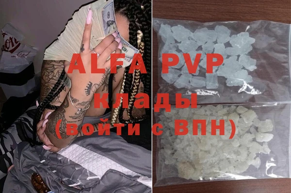 амф Гусь-Хрустальный