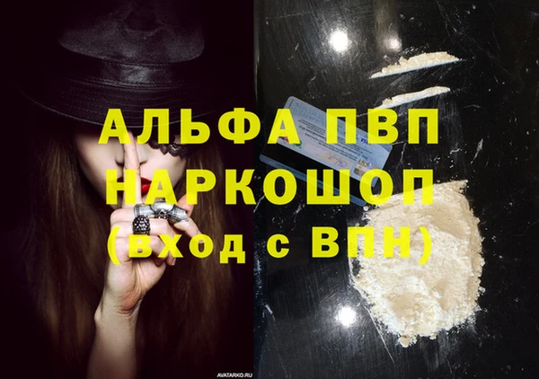 амф Гусь-Хрустальный