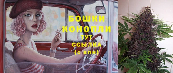 амф Гусь-Хрустальный