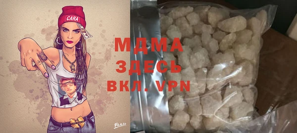 амф Гусь-Хрустальный
