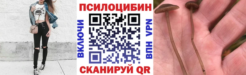 Галлюциногенные грибы Psilocybine cubensis  Купить где  Нытва 