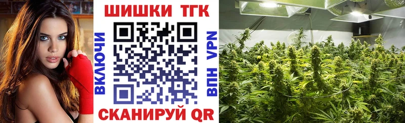 Купить закладки  Нытва  Конопля план 